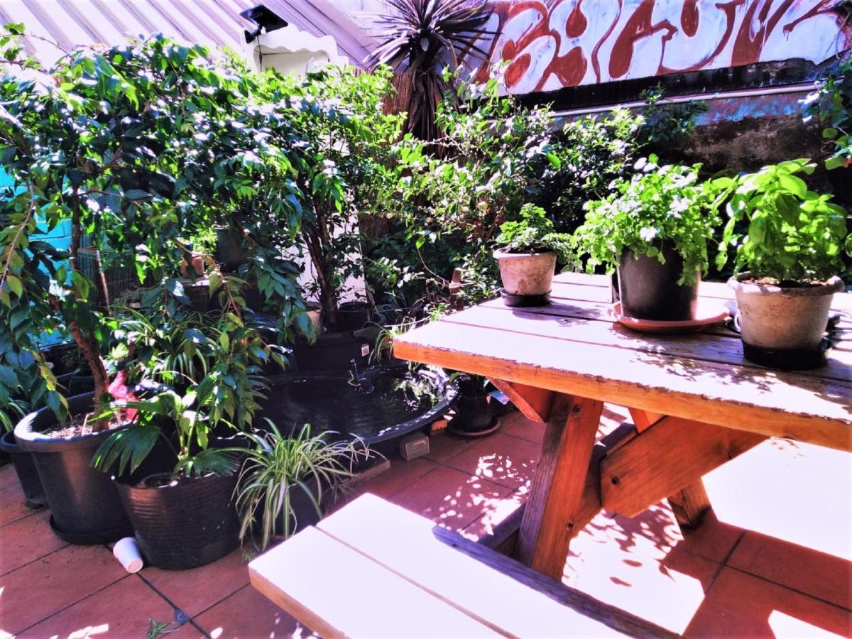 Asylum Sydney Backpackers Hostel Exterior photo