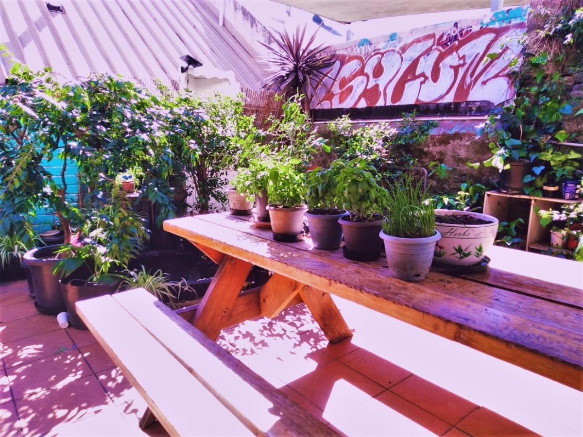 Asylum Sydney Backpackers Hostel Exterior photo