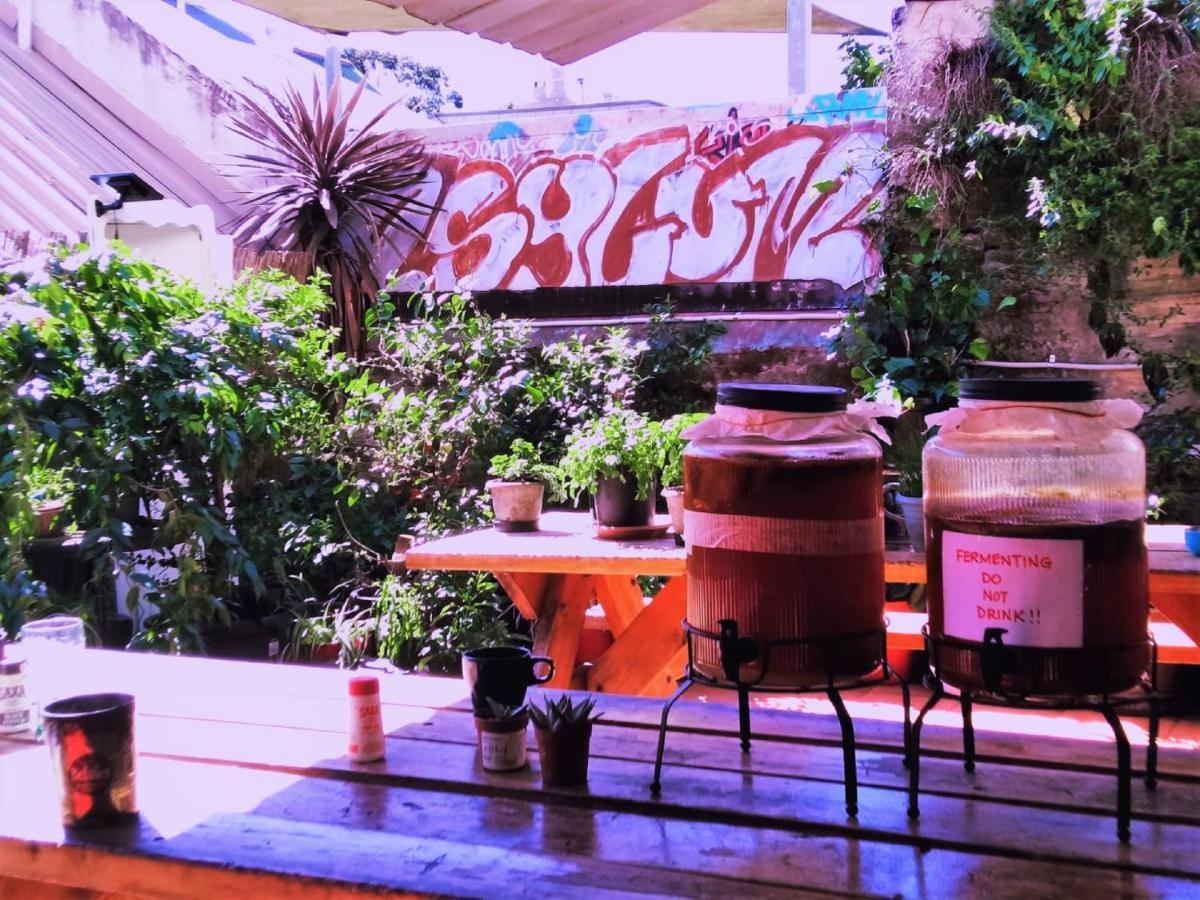 Asylum Sydney Backpackers Hostel Exterior photo